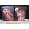 Image 1 : Pair Owl Pictures