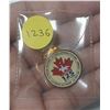 Image 1 : Colourful RCMP pin celebrating the 125th Anniversary of the RCMP.