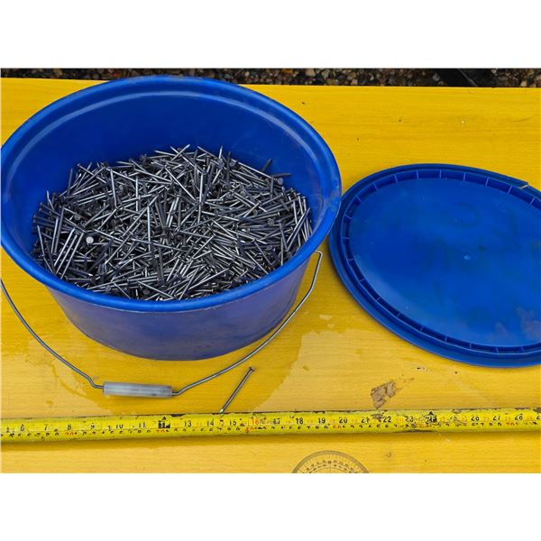 Bucket of 2 1/2" nails