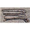 Image 1 : (2) Chains w/ Hook ends (11') and (13')