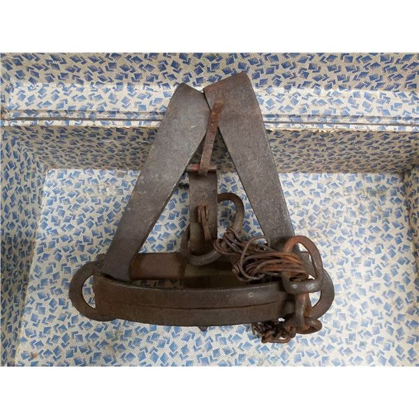 Bear trap 37" long, 11" opening