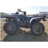Image 2 : Quad ATV 1995 Yamaha Bigbear 350