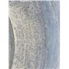 Image 3 : Tractor tire- size 14L by 16.1 f-2