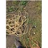 Image 2 : lot 848 2 extension cords