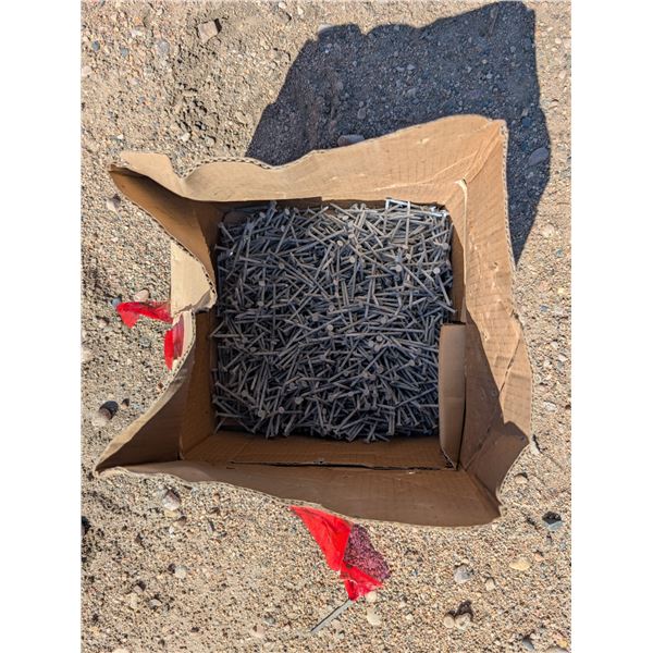 Box of Nails