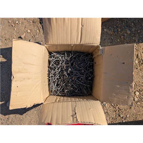 Box full of Nails