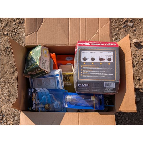 Box of Light Bulbs and Misc. Light Objects