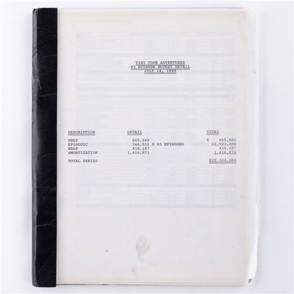A Pre-Production Tiny Toons Series Budget Report.