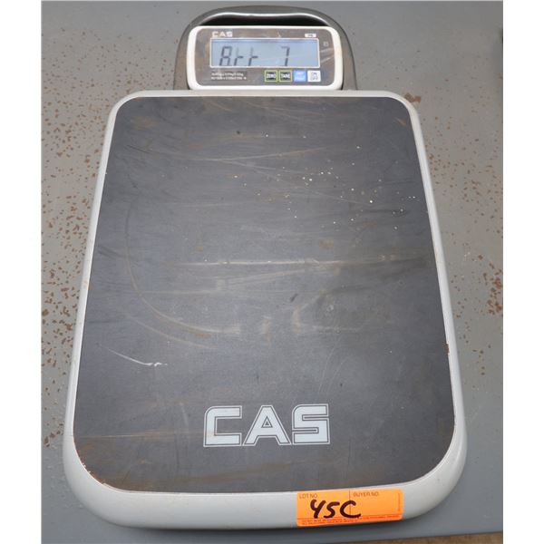 CAS Portable Scale (powers on but has error message)