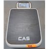 Image 1 : CAS Portable Scale (powers on but has error message)