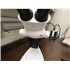 Image 2 : Leica S6 D Greenough Stereo Microscope w/ EC3 Camera