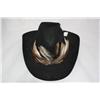 Image 1 : Cowboy Hat with Feather Band