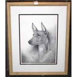 Framed Print of a Dog