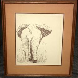 Signed Proof of Elephant