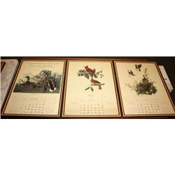 3 Framed Prints of Birds