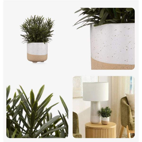 Bouclair Decorative Artificial Plants in Ceramic Pots – Set of 2