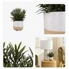 Image 1 : Bouclair Decorative Artificial Plants in Ceramic Pots – Set of 2