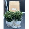 Image 2 : Bouclair Decorative Artificial Plants in Ceramic Pots – Set of 2