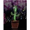 Image 1 : Green Dancing Cactus With Sparkly Pink Hat