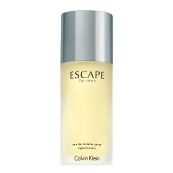 Calvin Klein Escape for Men Eau De Toilette Spray 50 ml