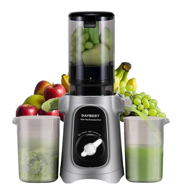 DAYBEST Y1 2-in-1 Cold Press Juicer with 120W Motor