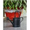 Image 1 : Matte Black Watering Can, 8.25 x 20 x 11.25 Inches,