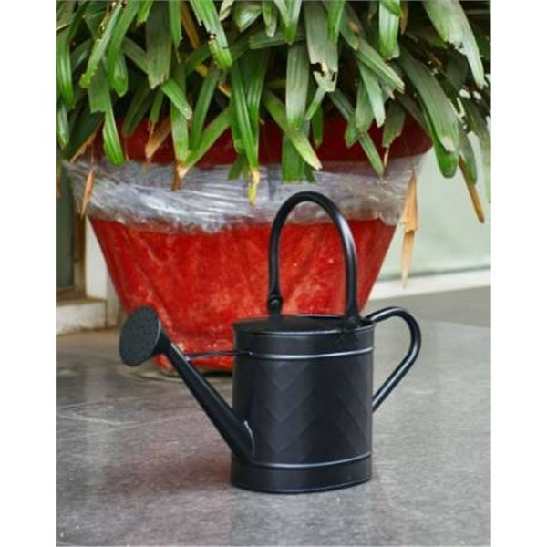 Matte Black Watering Can, 8.25 in x 20 in x 11.25 in,