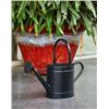 Image 1 : Matte Black Watering Can, 8.25 in x 20 in x 11.25 in,