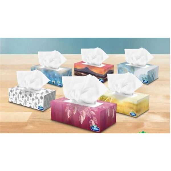 Royale 18 box 2-Ply Facial Tissue