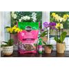 Image 2 : Miracle-Gro Orchid Potting Mix -Bundle LOT of 6 x 8.8L bags