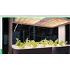 Image 1 : 2pcs Ultra-Thin Full Spectrum Grow Light Panels for Indoor Plants