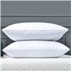 Image 1 : George Courey Grandee 1687 Queen Size Pillow Lot of 2