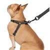 Image 1 : L/XL Silicone Dog Walking Set with Waste Bag Holder