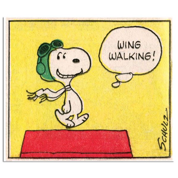 Wing Walking by Peanuts,