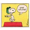 Image 1 : Wing Walking by Peanuts,