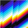 Image 2 : Chromadynamica 30p by Pantone, Felipe