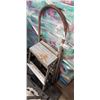 Image 1 : 2 FOLDING STEP LADDERS