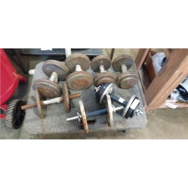 LOT OF FREE WEIGHTS