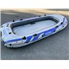 Image 3 : INTEX 5 PERSON DINGY BOAT