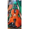 Image 3 : VIOLIN IN HARD CASE