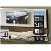 Image 3 : SANUS ADVANCED 42"-90" TILTING TV WALL MOUNT, RETAIL $219