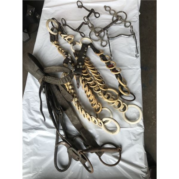 Antique Spreaders, Bridle and 3 Bits