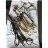 Image 1 : Antique Spreaders, Bridle and 3 Bits