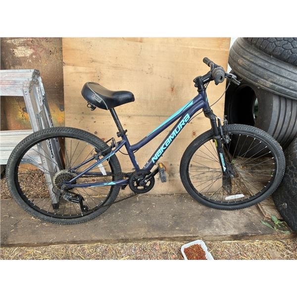 Nakamura Bicycle 24'' Tires and Huffy Seat