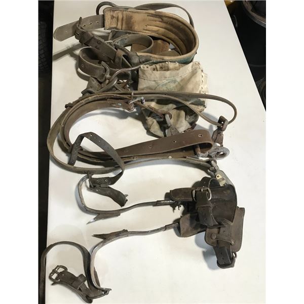 Complete Set Climbing Gear "Klein"