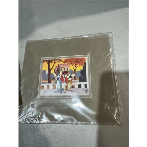 Warner Brothers 50/250