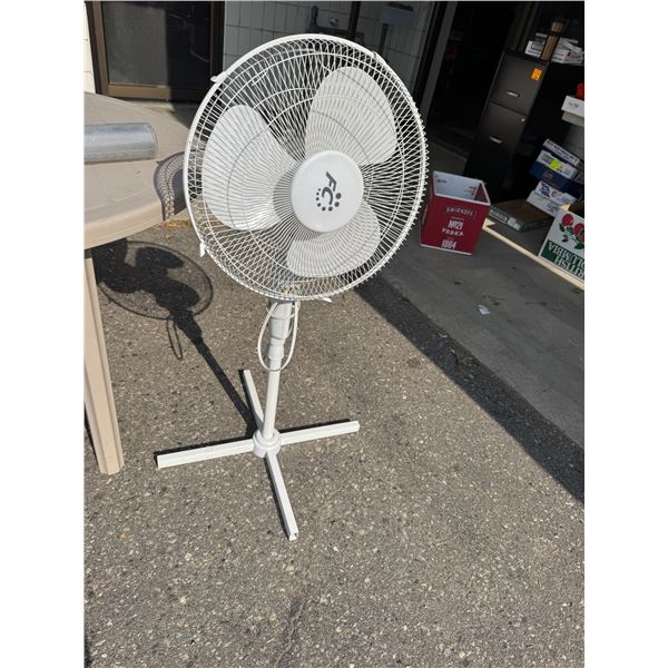 Fan