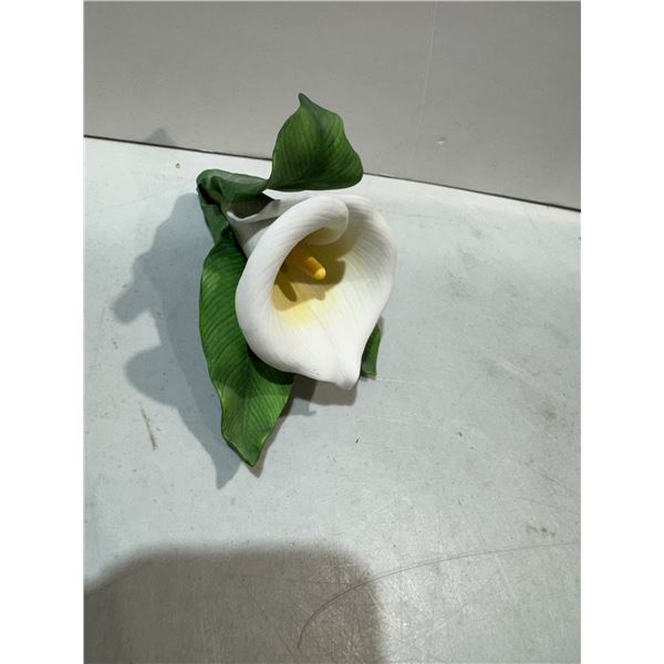 LENNOX Calla Lily Horseland flower