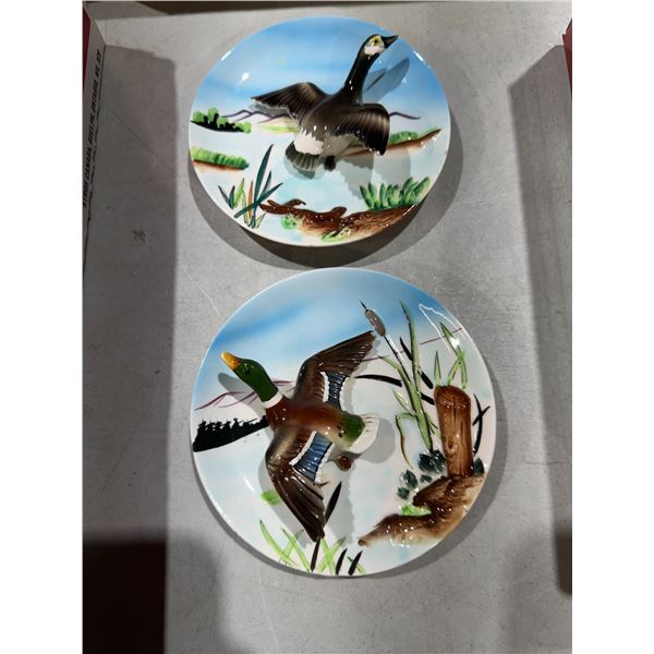 Mallard and Canada goose collect collectible plates
