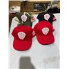 Image 1 : New Milwaukee caps